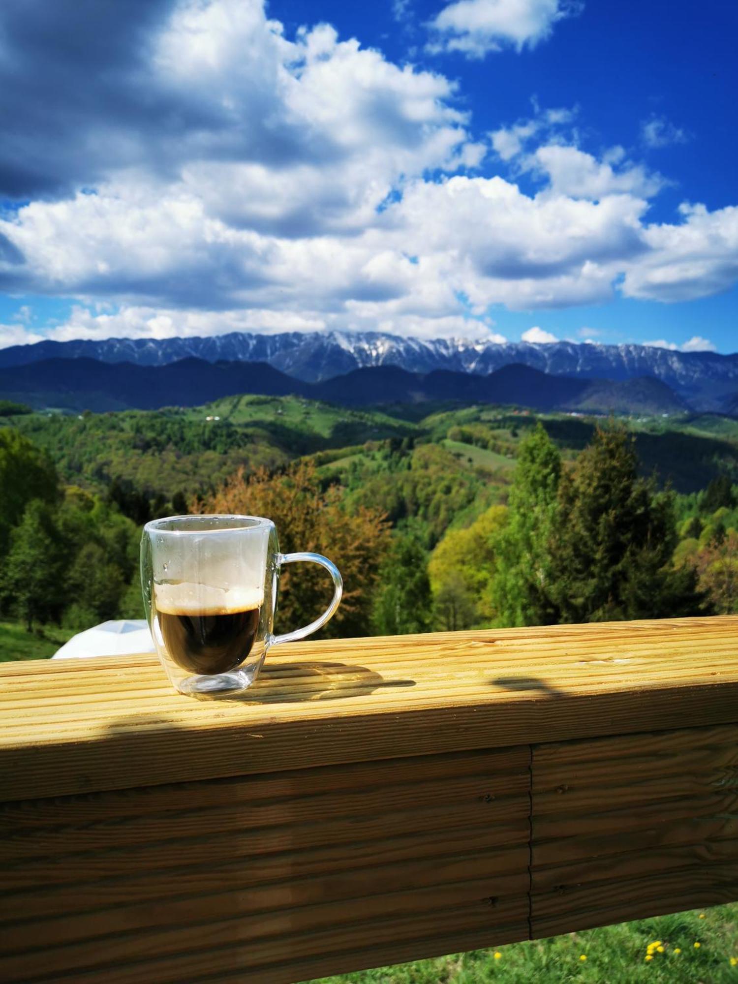 Glamping Zazen Ξενοδοχείο Drumu Carului Εξωτερικό φωτογραφία