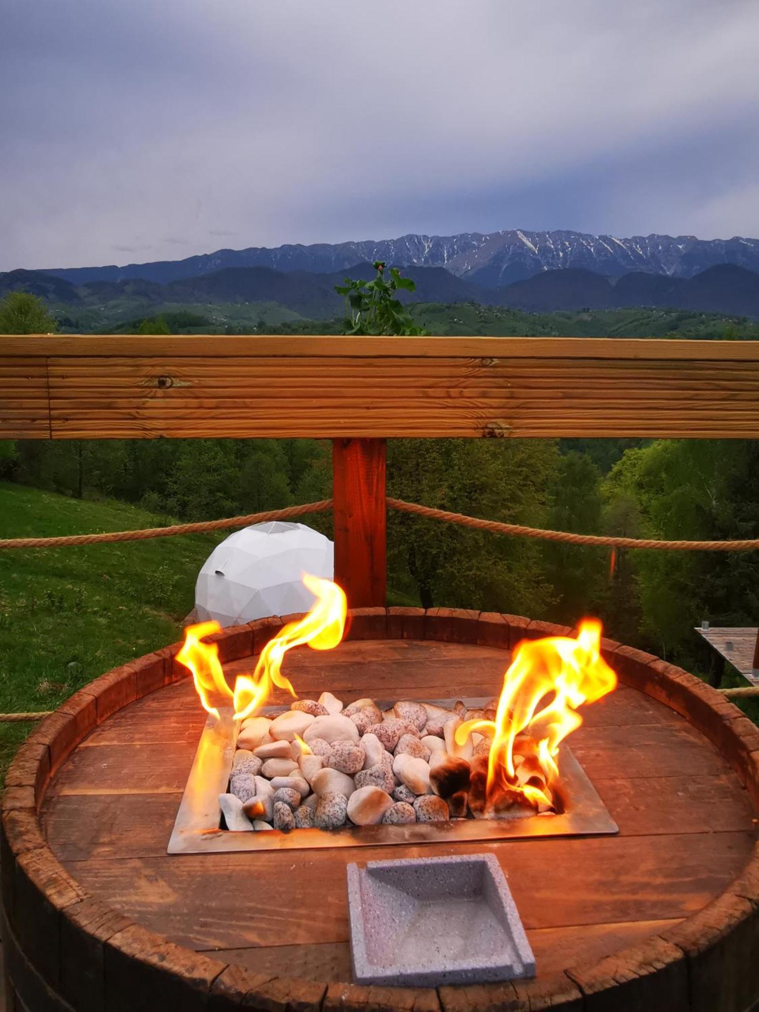 Glamping Zazen Ξενοδοχείο Drumu Carului Εξωτερικό φωτογραφία