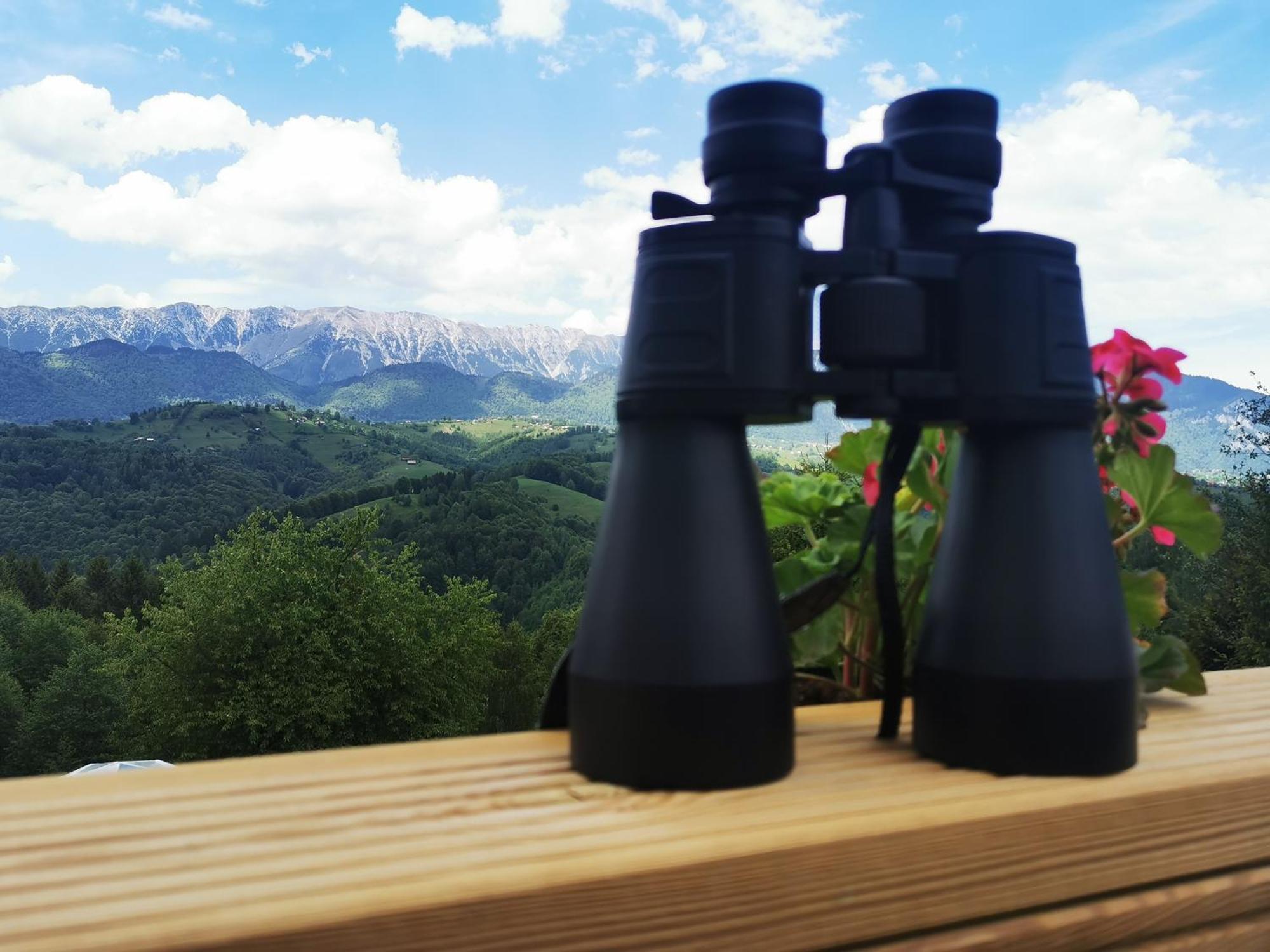 Glamping Zazen Ξενοδοχείο Drumu Carului Εξωτερικό φωτογραφία