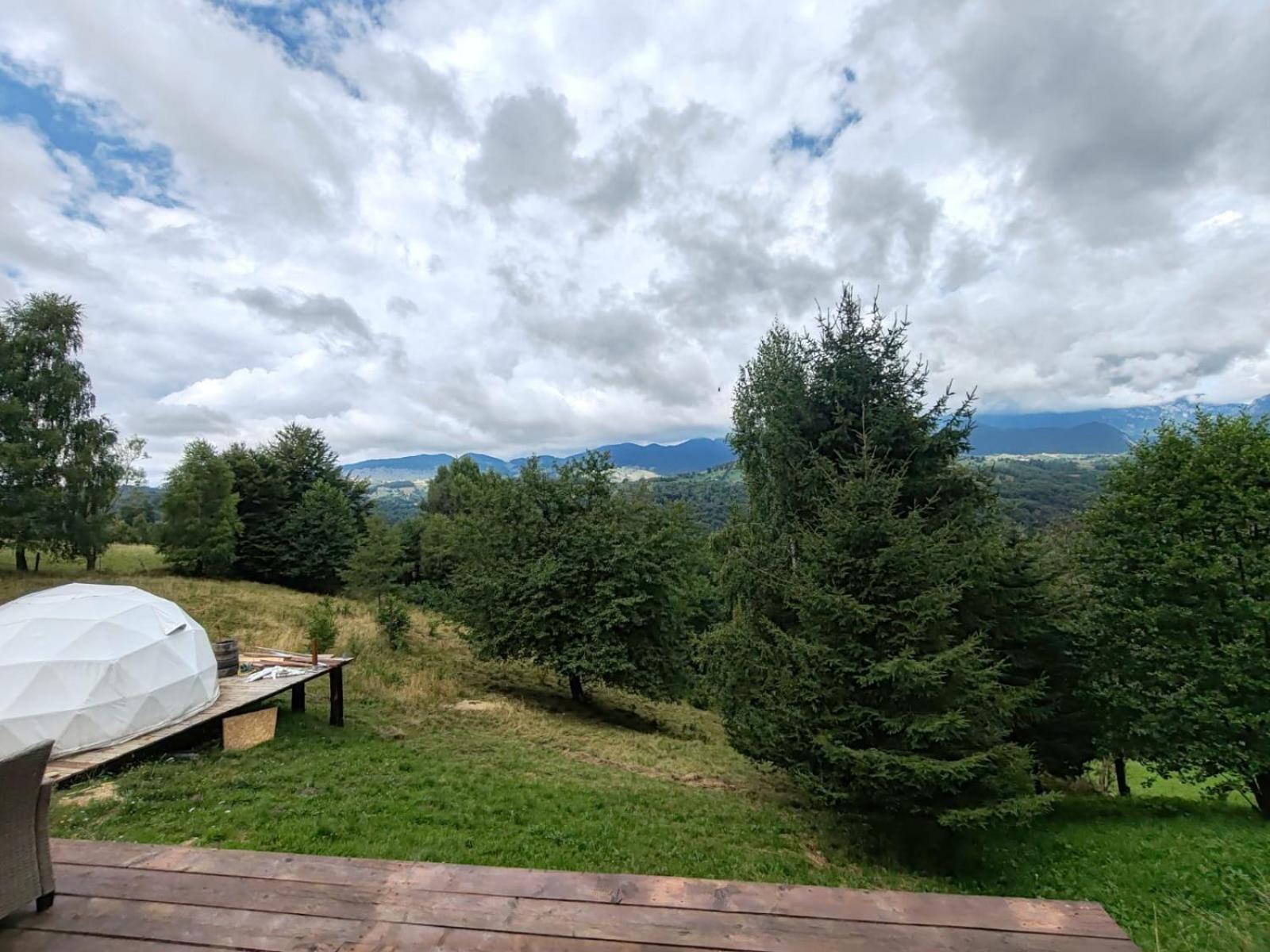 Glamping Zazen Ξενοδοχείο Drumu Carului Εξωτερικό φωτογραφία